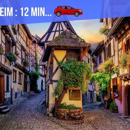 Le Blue St Leon : 2 Pieces Cozy Lit King Size Wifi Apartment Colmar Exterior photo